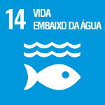 Objetivo da ONU-14 Vida na água